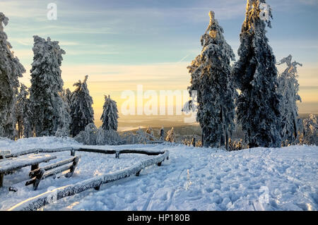 Une vue de la montagne Feldberg haut Banque D'Images