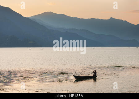 Bateaux de pêche sur l'pokhara (phewa Lac Fewa) au coucher du soleil, le Népal Banque D'Images