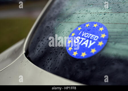 Krefeld, Allemagne. Feb 17, 2017. La fenêtre d'une voiture avec un "J'ai voté restez à l'extérieur de l'autocollant des Mies van der Rohe Haus Lange conçu à Krefeld, Allemagne, 17 février 2017. Duo d'artistes scandinaves (Danemark) Michael Elmgreen et Ingar Dragset (Norvège) ont eu l'exécuter de la chambre pour une installation artistique qui prend le sujet La Grande-Bretagne a décidé de quitter l'Union européenne connu sous le nom de 'Brexit'. La pièce est centrée sur une famille allemande de quitter la Grande-Bretagne et leur retour en Allemagne à la suite du référendum. Photo : Federico Gambarini/dpa/Alamy Live News Banque D'Images