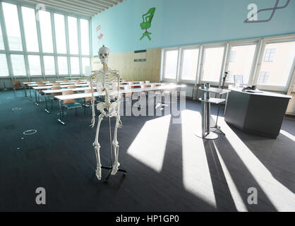 Gera, Allemagne. Feb 17, 2017. Un modèle squelette dans une salle de conférence dans l'Université de SSR pour la santé à Gera, Allemagne, 17 février 2017. La ville a été officiellement reconnue comme ville universitaire. Nouvelle limite de la ville de signes doivent être fixées avec la désignation officielle. Le nouveau statut est une aubaine pour l'Gera, la municipalité la plus importante entre Leipzig et Nuremberg. On espère qu'il vous donnera un avantage dans la concurrence entre les villes pour attirer les investissements et l'emploi. Photo : Bodo/Schackow Zentralbild-dpa/dpa/Alamy Live News Banque D'Images