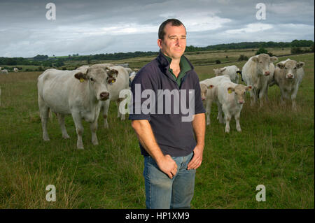 Éleveur de bovins, le petit James avec son troupeau de bovins shorthorn boeuf de race blanche sur sa ferme dans les collines de Mendip, Somerset, uk Banque D'Images