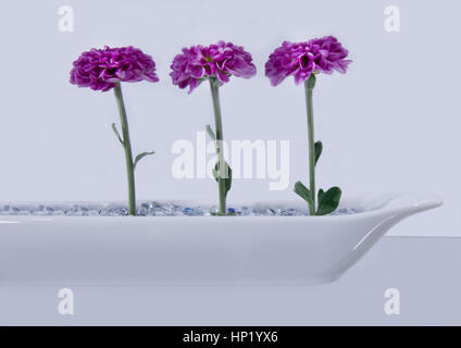 Arrangement de fleurs Banque D'Images