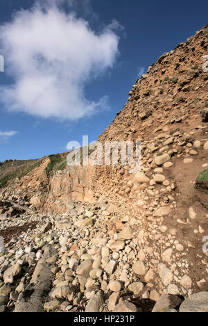 Géologiques géologie plage soulevée Porth Nanven Cornwall England UK SSSI. Banque D'Images