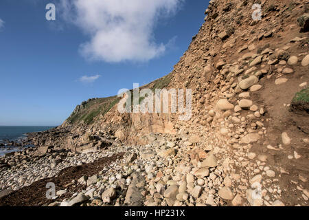 Géologiques géologie plage soulevée Porth Nanven Cornwall England UK SSSI. Banque D'Images