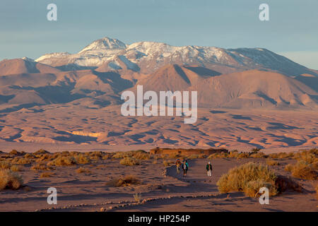 Des Andes, de Tulor, un ancien village Atacameños, San Pedro de Atacama, Désert d'Atacama, Región de Antofagasta, Chili Banque D'Images