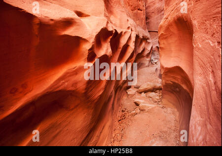 Fourche à sec, Slot Canyon, Escalante-Grand National Monument (Utah) Escalier Banque D'Images