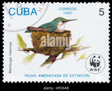 BUDAPEST, HONGRIE - 16 février 2017 : timbres en Cuba montre bird Mellisuga helenae, vers 1992 Banque D'Images