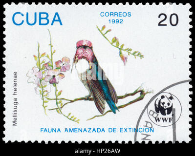 BUDAPEST, HONGRIE - 16 février 2017 : timbres en Cuba montre bird Mellisuga helenae, vers 1992 Banque D'Images