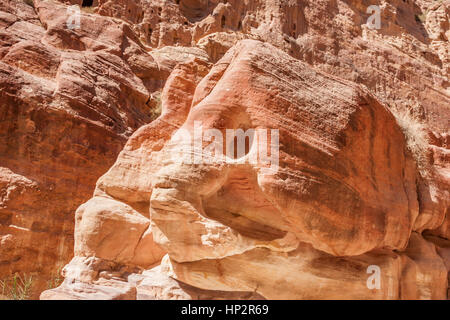 Rochers de grès rose qui ressemble à la tête d'éléphant dans la Siq canyon à Petra, Jordanie Banque D'Images