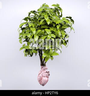 Coeur de l'usine et que les racines d'organes, 3d illustration Banque D'Images