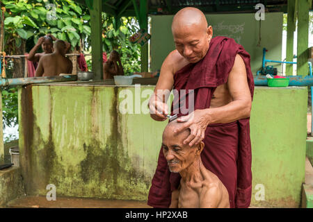 Mönche bei der Kopf Rasur, Kyauk Ka Lat Pagode, Hpa-an, Myanmar, Asien | moines de leur tête, la pagode de Kyauk Kalat, Hpa-an, au Myanmar, en Asie Banque D'Images