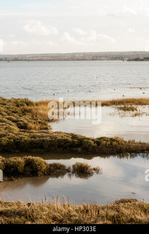 Kent marais, sur la péninsule de Hoo. Kent, Angleterre. Banque D'Images