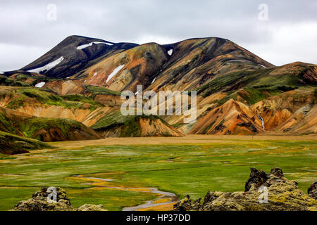 Les montagnes volcaniques et fieid exotiques de fleurs sauvages en Islande Banque D'Images