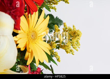 Fleurs jaune et rouge isolé sur fond blanc Banque D'Images