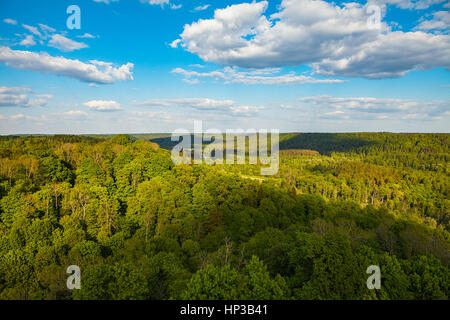 Beau Ciel et nuages au-dessus des collines avec des forêts vertes, couvertes par l'ensoleillement. Gauja, la Lettonie. Banque D'Images