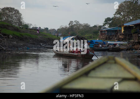 Nous analysons l'utilisation des produits et services forestiers pour la production de revenus chez les ménages dans l'Amazonie colombienne. Nous constatons que les familles re Banque D'Images