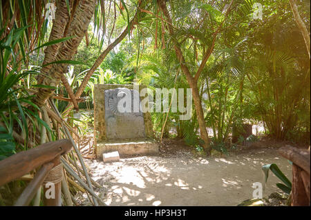 Ruines mayas dans la jungle pendant la journée de la forêt Banque D'Images