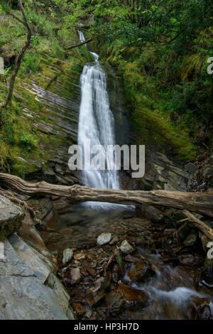 Holme vigueur upper falls, Loweswater, Lake District, Cumbria, England, UK Banque D'Images