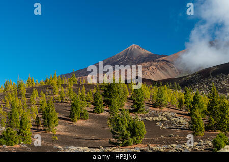 Le Mont Teide, le Parc National du Teide, Tenerife, Espagne Banque D'Images