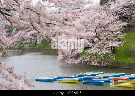 Barques dans le fossé du Palais Impérial à Tokyo, Japon Banque D'Images