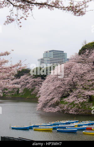 Barques dans le fossé du Palais Impérial à Tokyo, Japon Banque D'Images