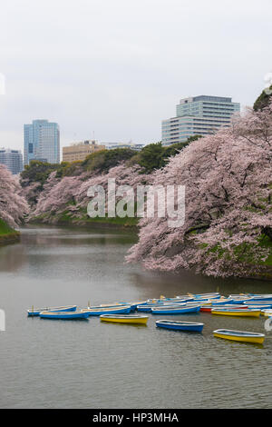 Barques dans le fossé du Palais Impérial à Tokyo, Japon Banque D'Images