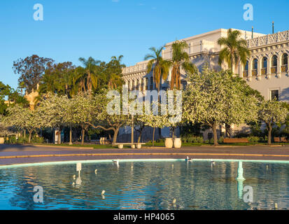 Musée d'histoire Naturual, tôt le matin. Balboa Park, San Diego, Californie, USA. Banque D'Images