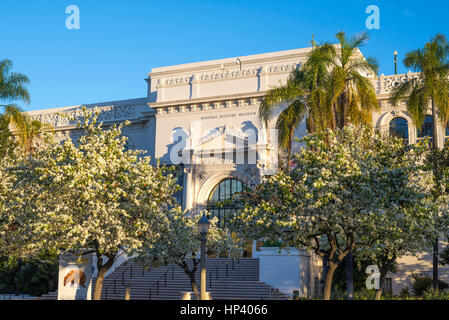 Musée d'histoire Naturual, tôt le matin. Balboa Park, San Diego, Californie, USA. Banque D'Images