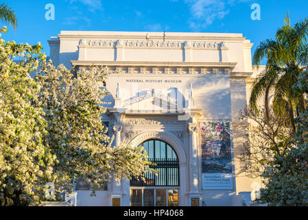 Musée d'histoire Naturual, tôt le matin. Balboa Park, San Diego, Californie, USA. Banque D'Images