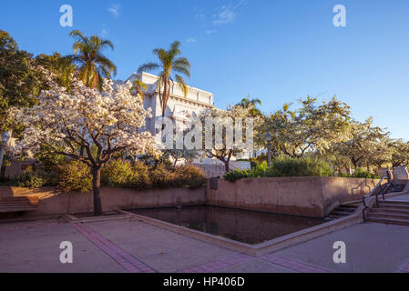 Musée d'histoire Naturual, tôt le matin. Balboa Park, San Diego, Californie, USA. Banque D'Images