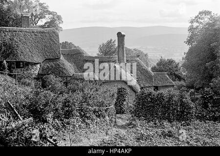 Pris dans l'arrière jardin potager d'une chaumière dans le village de Selworthy, sur à la recherche d'Exmoor retour à Dunkery, prise en septembre 1907. Restauré à partir d'une numérisation haute résolution prises à partir de l'original négatif verre édouardien. Banque D'Images