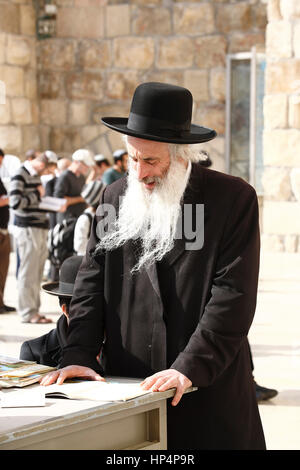 L'homme juif ultra-orthodoxe de la lecture d'un livre au mur occidental. vieille ville, Jérusalem, Israël Banque D'Images