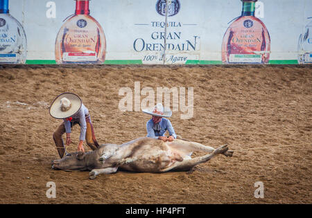 Une charreada rodéo mexicain au Lienzo Charro Zermeno, Guadalajara, Jalisco, Mexique Banque D'Images