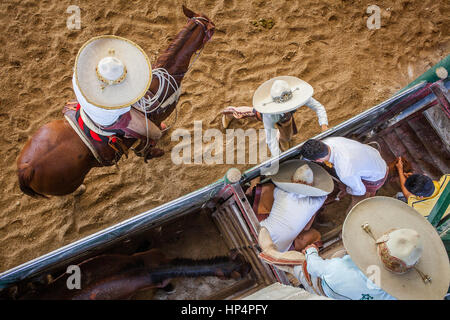 Une charreada rodéo mexicain au Lienzo Charro Zermeno, Guadalajara, Jalisco, Mexique Banque D'Images