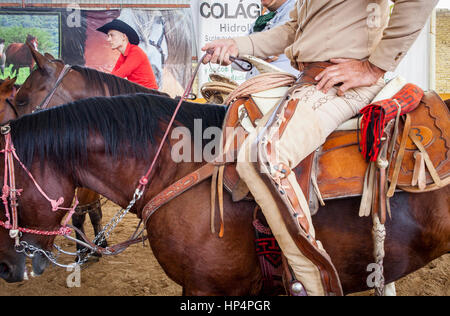 Spectateurs regarder une charreada rodéo mexicain au Lienzo Charro Zermeno, Guadalajara, Jalisco, Mexique Banque D'Images