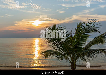 Coucher du soleil sur la mer, le soleil brille à travers les branches du palmier Banque D'Images