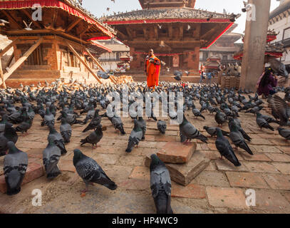 Le moine bouddhiste et les pigeons à Jagannath Temple, grand angle faible, Durbar Square Banque D'Images