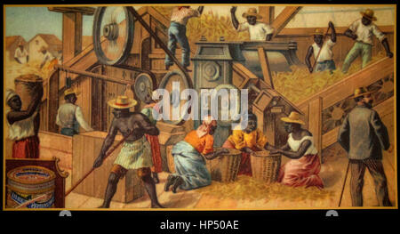 L'Ile Maurice, Lavanture du sucre, Zuckermuseum, beau plan, repro, l'Ile Maurice : Aventure du sucre, le sucre musum à Beau Plan. Banque D'Images