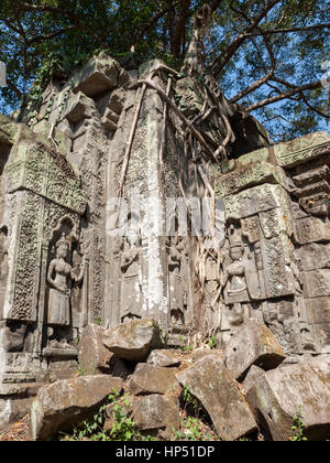 Beng Mealea, Cambodge - un temple tower tenir par des arbres Banque D'Images