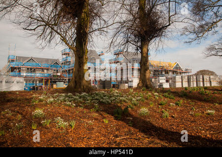 Nouvelles maisons en construction sur Cheshire de verdure et farmlland Banque D'Images
