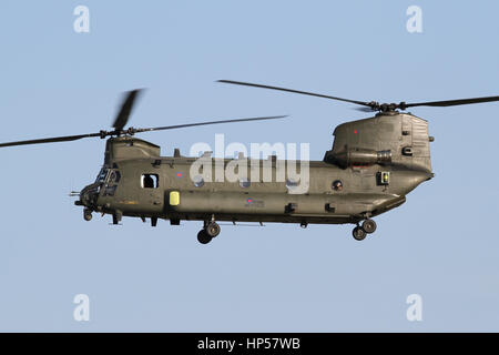 Chinook de la RAF A2/2HC helicopters arrivant à l'aérodrome de Wattisham pour se ravitailler pendant un exercice militaire Banque D'Images