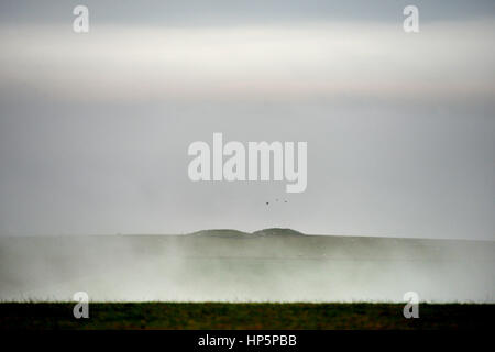 Le Parc National de South Downs, East Sussex. 19 février 2017. Morning Mist entoure deux anciens tumulus funéraires, connus localement sous le nom de Lords Burghs, près de Firle dans le parc national des South Downs dans l'East Sussex comme air tropical humide atteint la Grande-Bretagne. © Peter Cripps/Alamy Live News Banque D'Images