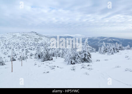 Vue paysage d'hiver dans les Montagnes Géantes avec arbres couverts de neige et les pics, Pologne, Karkonosze Banque D'Images