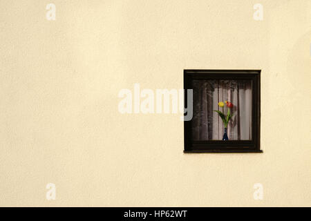 La façade d'un enduit grossier immeuble résidentiel avec une petite fenêtre dans laquelle un vase de fleurs. Banque D'Images