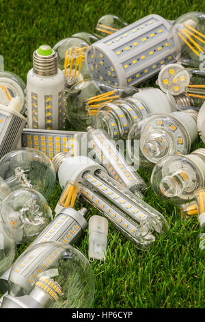 Grande famille d'eco LED Ampoules de divers types sur l'herbe verte Banque D'Images