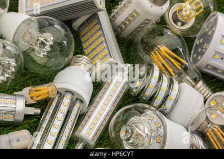 Grande famille d'eco LED Ampoules de divers types sur l'herbe verte Banque D'Images