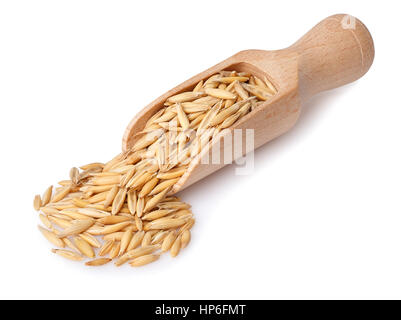 Scoop en bois plein avec des grains d'avoine non cuits avec enveloppe isolé sur fond blanc. Grains d'avoine avec enveloppe. Céréales Banque D'Images