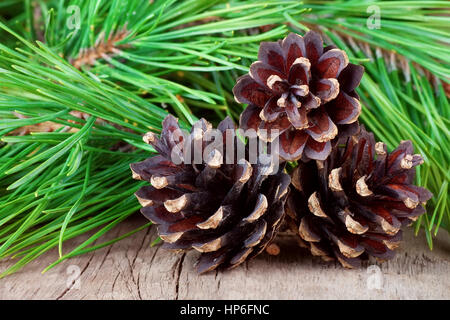 Ornements de Noël sur de vieilles tables en bois. Cônes de conifères avec gros plan sur les branches d'arbre de pin sur fond de bois. Sapin de Noël avec des pommes de pin sur Banque D'Images