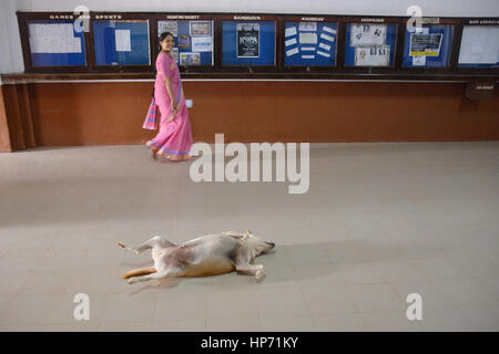 Mangalore, Inde - le 29 octobre 2015 - Les étudiants passant sleeping dog à Saint Aloysius College. Banque D'Images