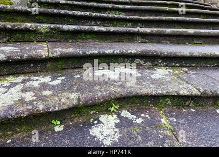 Escalier de pierre de la vieille ville (libre) avec vert mousse et lichen. Banque D'Images